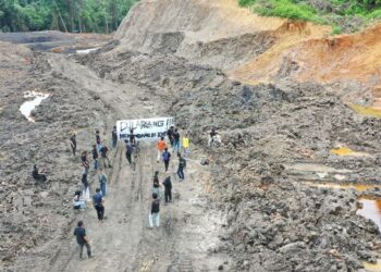 Terbongkar! Aktor Utama Tambang Ilegal di Hutan Unmul Ditangkap Polda Kaltim