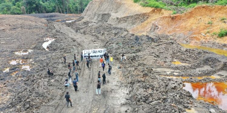 Terbongkar! Aktor Utama Tambang Ilegal di Hutan Unmul Ditangkap Polda Kaltim