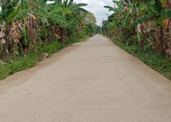 Pemkab Kukar Fokus Benahi Jalan Desa 2025, Bupati Aulia: Akses Ekonomi Harus Merata