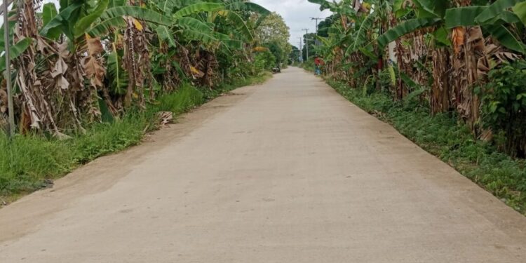 Pemkab Kukar Fokus Benahi Jalan Desa 2025, Bupati Aulia: Akses Ekonomi Harus Merata