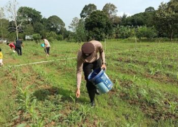 “Strategi Pupuk Kaltim Hadapi Musim Tanam: Siapkan 161.993 Ton untuk Oktober–Maret”
