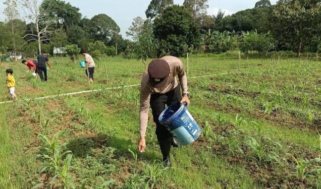 “Strategi Pupuk Kaltim Hadapi Musim Tanam: Siapkan 161.993 Ton untuk Oktober–Maret”