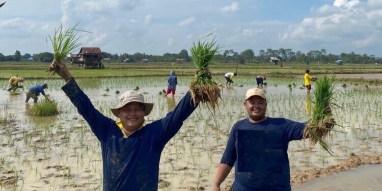 Aksi Pemuda di Tengah Sawah! GMNI Rayakan HUT ke-26 Kutai Timur dengan Cara Unik