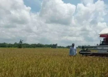 Indeks Ketahanan Pangan Kaltim Nomor 2, Seno Aji Bongkar Fakta Mengejutkan!