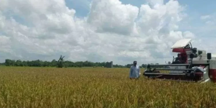 Indeks Ketahanan Pangan Kaltim Nomor 2, Seno Aji Bongkar Fakta Mengejutkan!