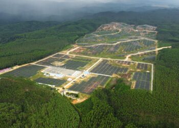 PLTS IKN: Solusi Hijau atau Ancaman Baru untuk Alam Kaltim?