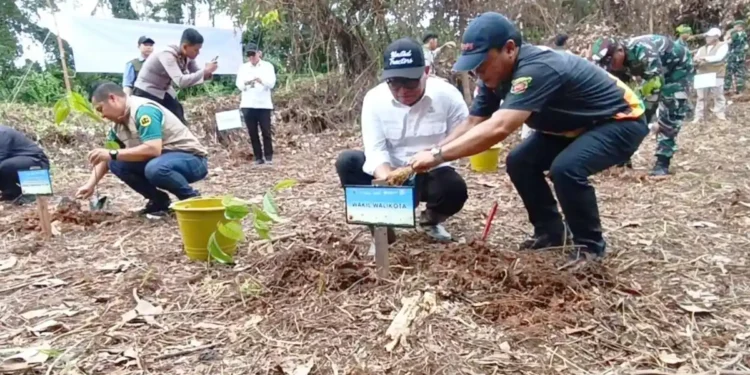 Samarinda Bergerak Menuju Kota Rendah Emisi: 500 Pohon Ditanam di Taman Kehati
