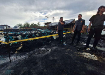 7 Kasus Tambang Ilegal di Tahura Bukit Soeharto, Polda Kaltim Bergerak Sejak 2023 — Fakta Mengejutkan Terungkap