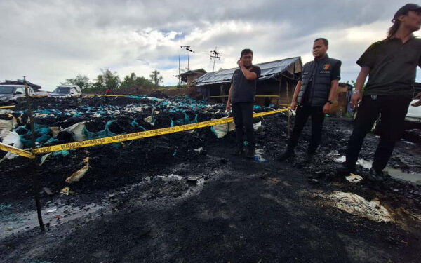 7 Kasus Tambang Ilegal di Tahura Bukit Soeharto, Polda Kaltim Bergerak Sejak 2023 — Fakta Mengejutkan Terungkap