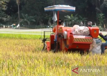 “Swasembada Pangan Bukan Mimpi—Sekda Kukar Bocorkan Peran Penting Desa”