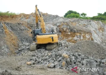 Genjot PAD, Bapenda Kaltim Optimalkan Pajak MBLB untuk Perkuat Kas Daerah