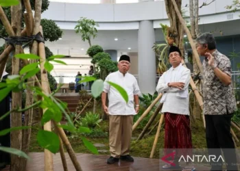 Menag Sebut Istiqlal dan Masjid Negara IKN sebagai “Masjid Kembar” Pusat Keagamaan Nasional