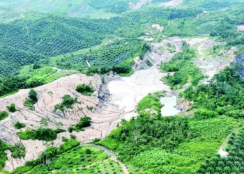 Tantangan Berat Tahura Bukit Soeharto: Hukum, Regulasi, Fasilitas, dan Dampak Sosial Jadi Sorotan