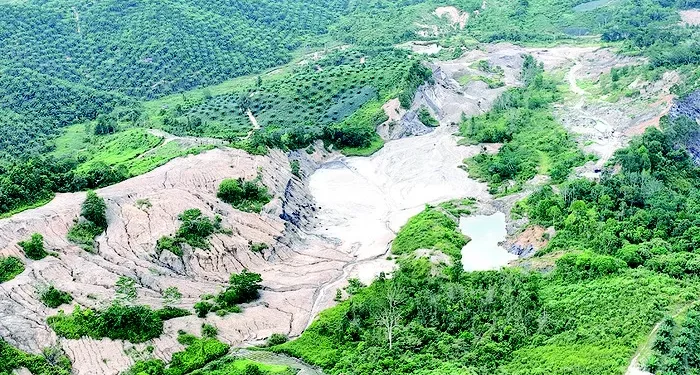 Tantangan Berat Tahura Bukit Soeharto: Hukum, Regulasi, Fasilitas, dan Dampak Sosial Jadi Sorotan