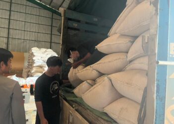 Petani Muara Wahau Panen 4 Ton Jagung Pipil, Segera Disalurkan ke Bulog