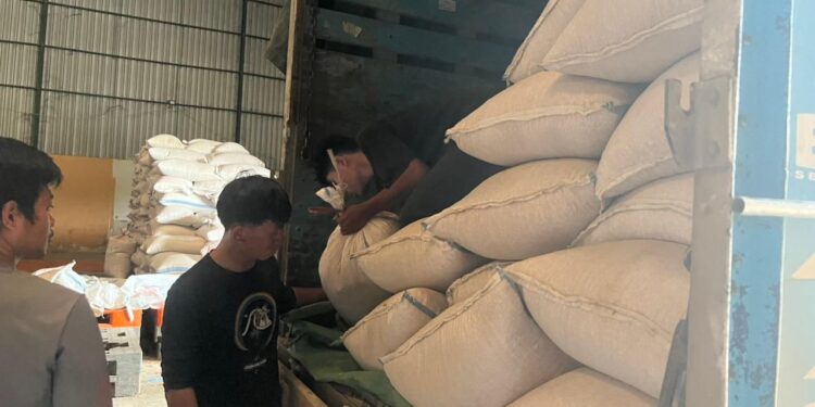 Petani Muara Wahau Panen 4 Ton Jagung Pipil, Segera Disalurkan ke Bulog
